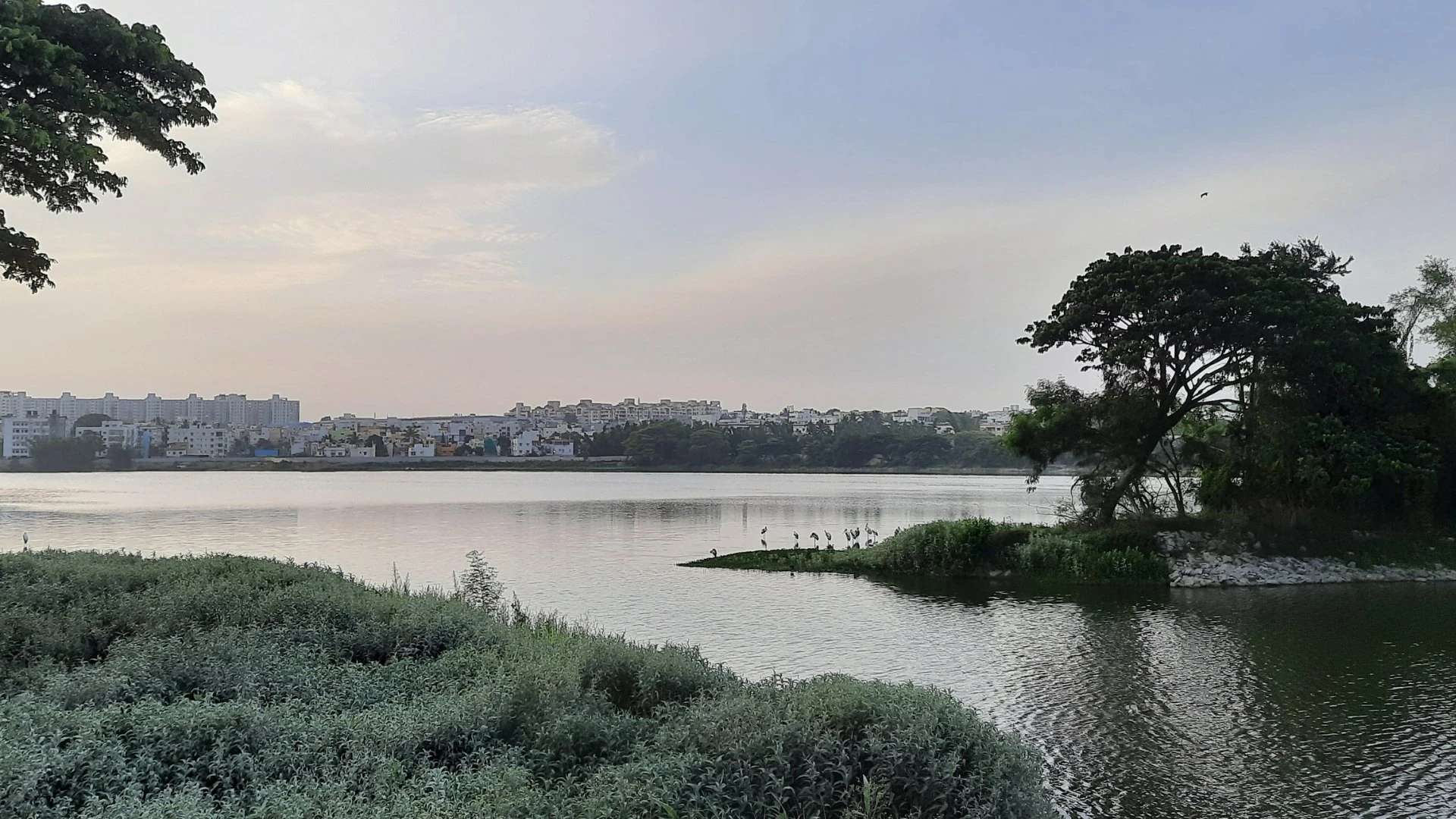 Madiwala Lake